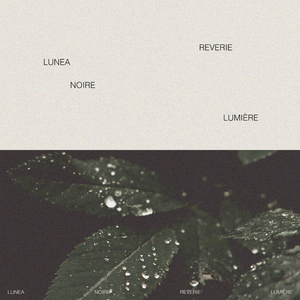 免费国产成人高清在线视频
