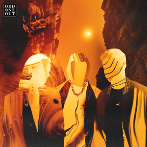 美女陰戶大合集
