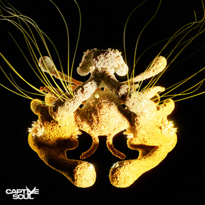 男同被三个男的双龙
