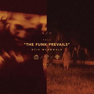 美女陰戶大合集
