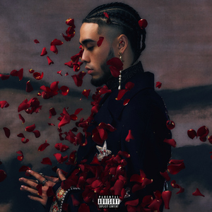 美女隐私的秘密网站
