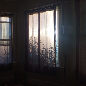 黑人巨鞭白妞操出白浆视频在线观看
