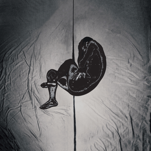 二次元口球+手铐+脚铐+十字扣
