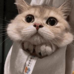 美女陰戶大合集
