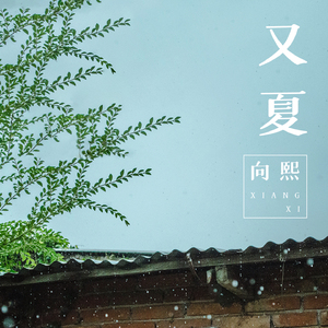 动漫 妓女 巨大 得到
