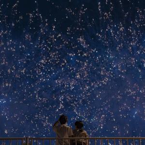 二次元口球+手铐+脚铐+十字扣
