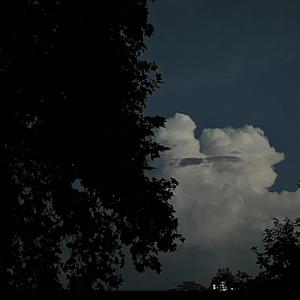 美女陰戶大合集
