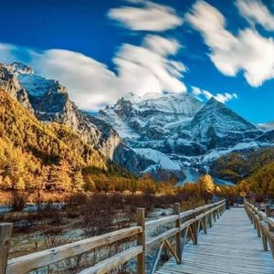 搓澡工硬了Gay2022
