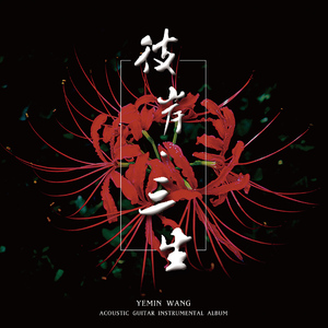 美女陰戶大合集
