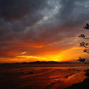 国产99操少妇被操强奸内射
