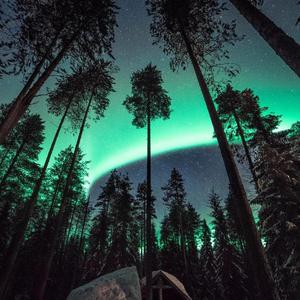 二次元口球+手铐+脚铐+十字扣
