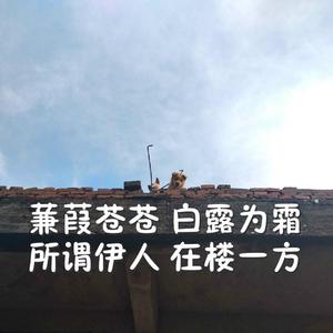 嗯轻点⋯啊⋯摸湿白月双飞小说
