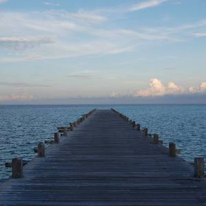 中华一晓图片欣赏1257
