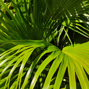 免费国产成人高清在线视频
