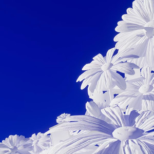 农村小妇内无套谢
