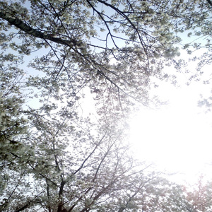 免费国产成人高清在线视频
