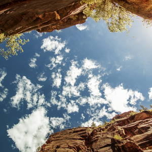 男生jjjj插入女生阴道的久久久视频
