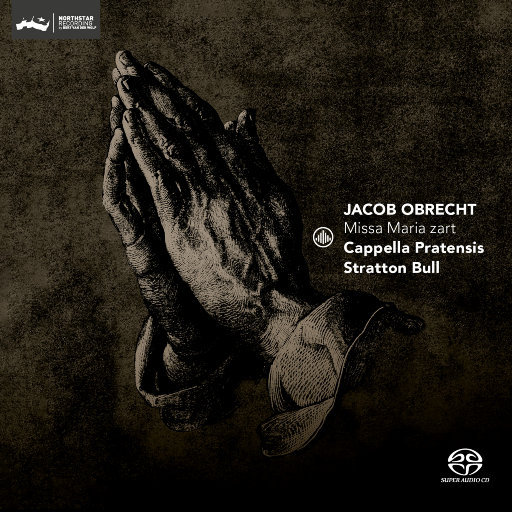 欧美激情无码❌❌❌喷水丝
